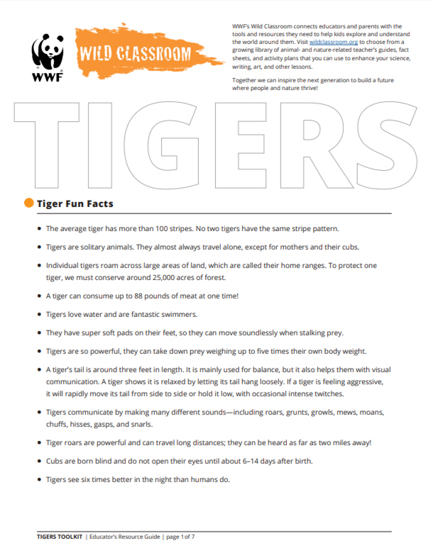 paper tiger video toolkit for educaional