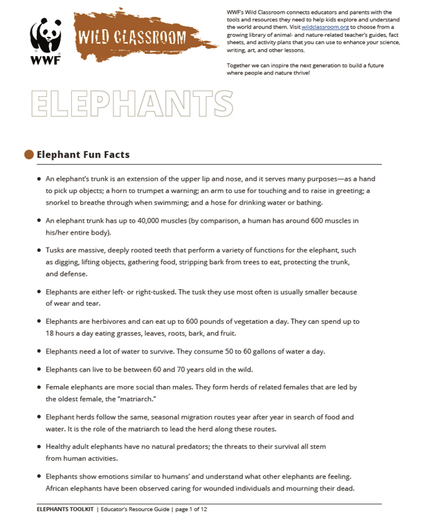 Elephant Toolkit | Educators Toolkits | WWF