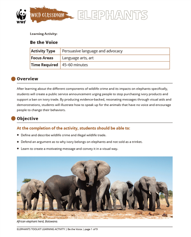 elephant toolkit  educators toolkits  wwf