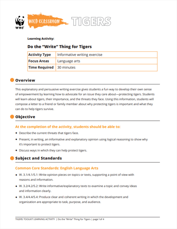 paper tiger video toolkit for educaional paper tiger video toolkit for educaional