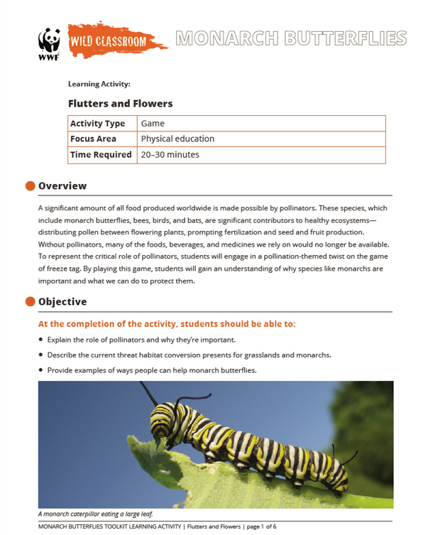 Monarch Toolkit Educators Toolkits Wwf