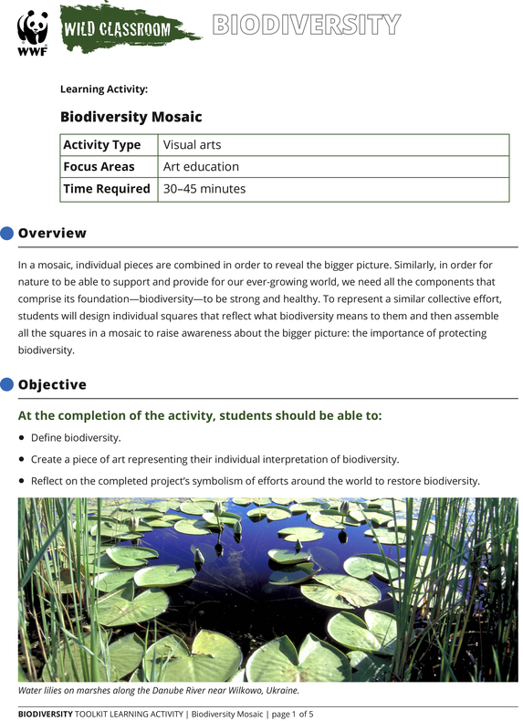 Biodiversity Toolkit | Educators Toolkits | WWF