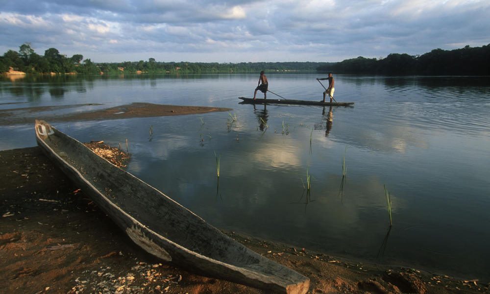 Congo Basin