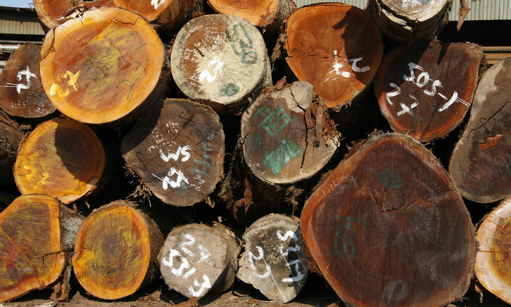 Legally harvested timber