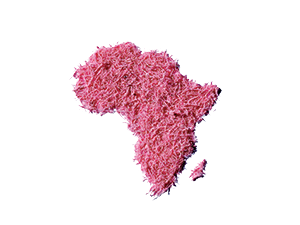 Continent of Africa shaped out of eraser shavings