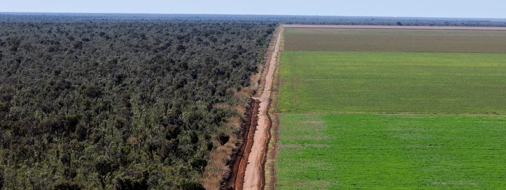 Aerial view of the Cerrado and soy monoculture, Ribeiro Gonçalves, Brazil