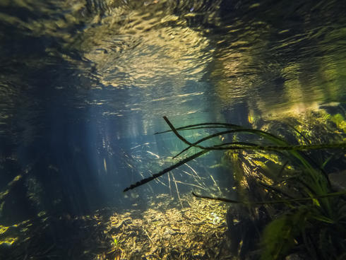 Orinoco River underwater