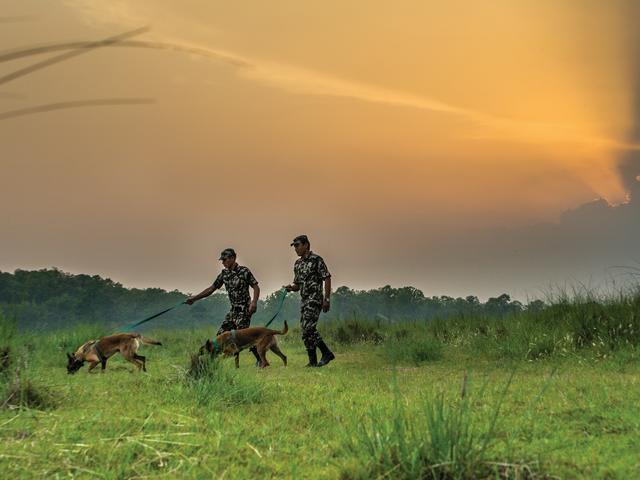 sniffer dogs in nepal