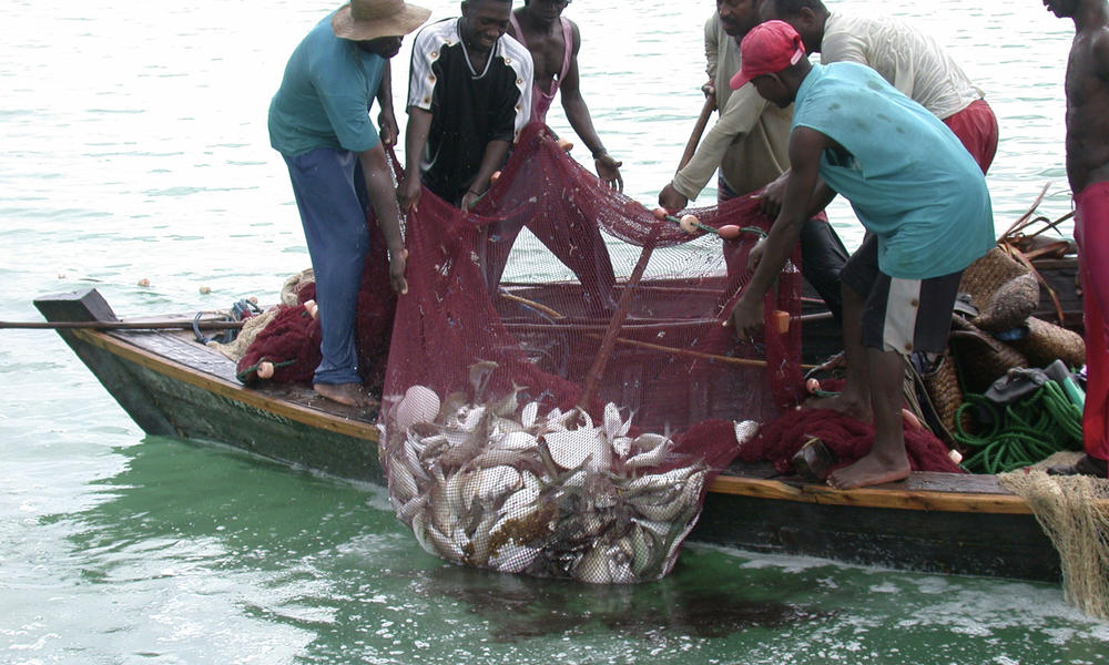 African fisheries