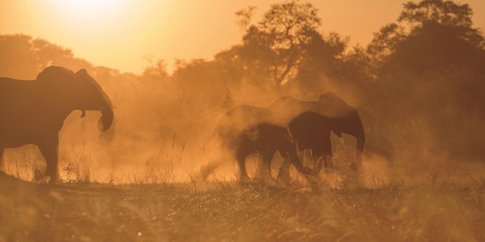 Victoria Falls