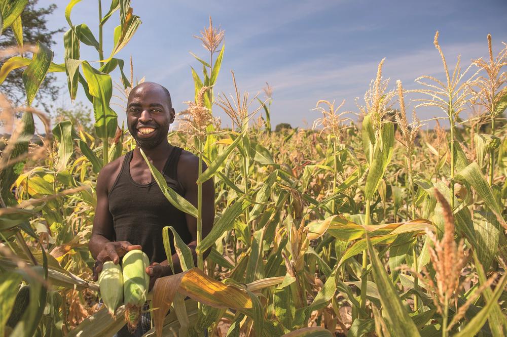 Farmer Sipalo Mubita poses with his abundant corn crop
