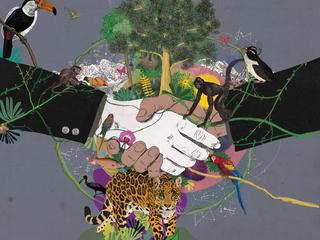Project Finance illustration
