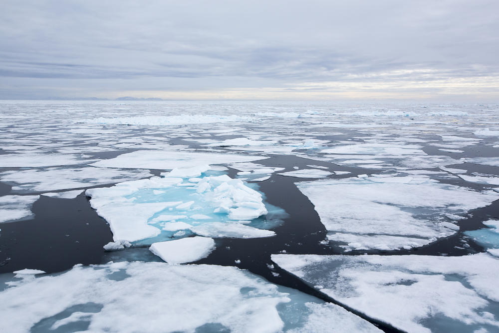 Melting sea ice