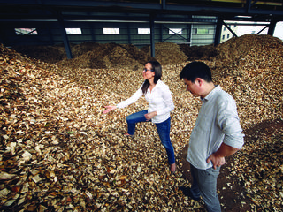 Freshly cut wood at a paper mill in Tengzhou, China