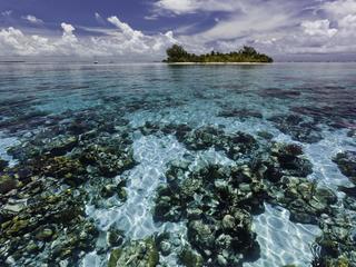 Belize barrier reef