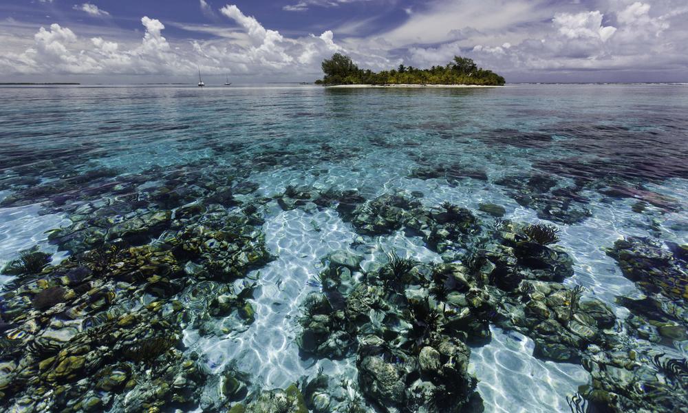 belize barrier reef belize barrier reef