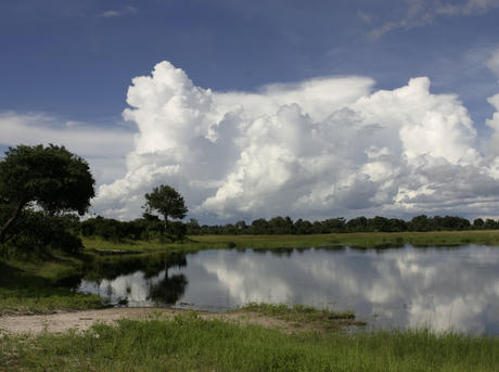 Wetlands | Habitats | WWF