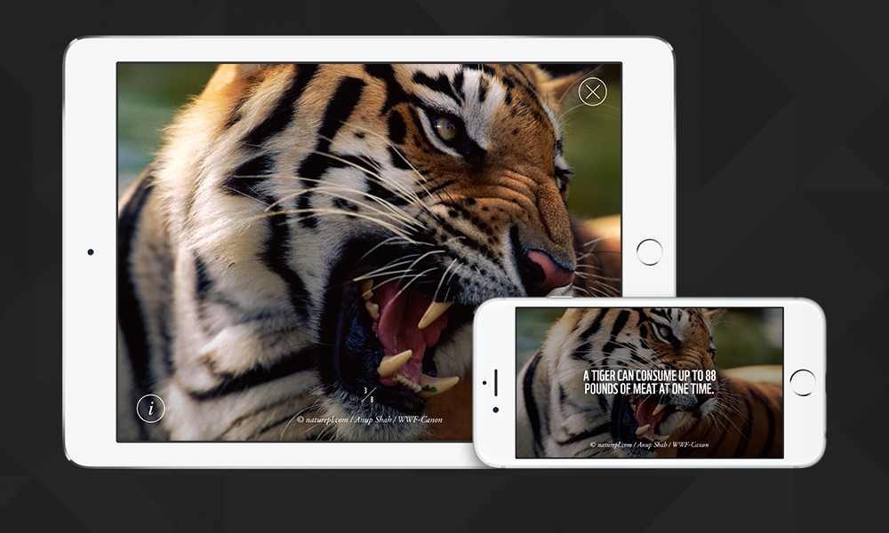 The world's most amazing animals are now on your iPhone | Pages | WWF