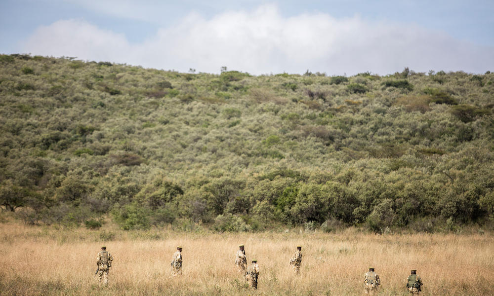 rangers walking in tall grass