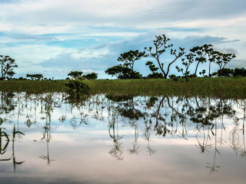 Orinoco River