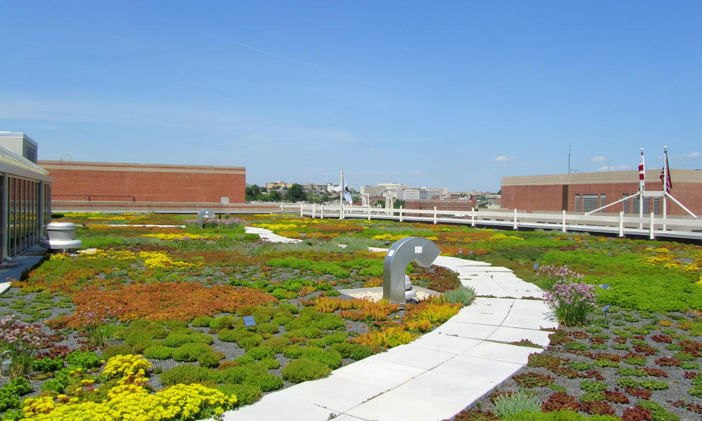 WWF HQ green roof Rooftop Garden Vent