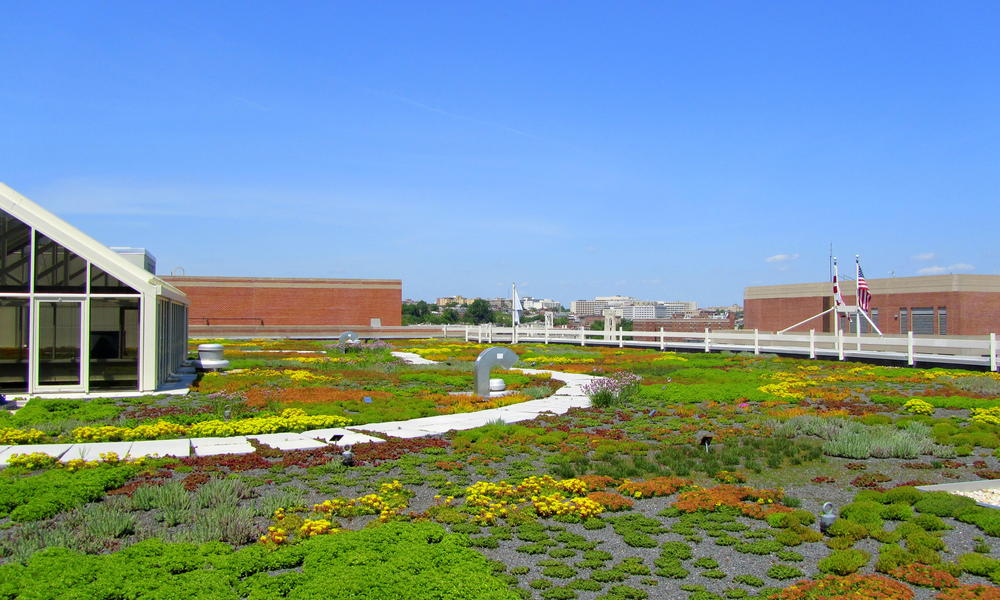 WWF HQ green roof vent wide angle