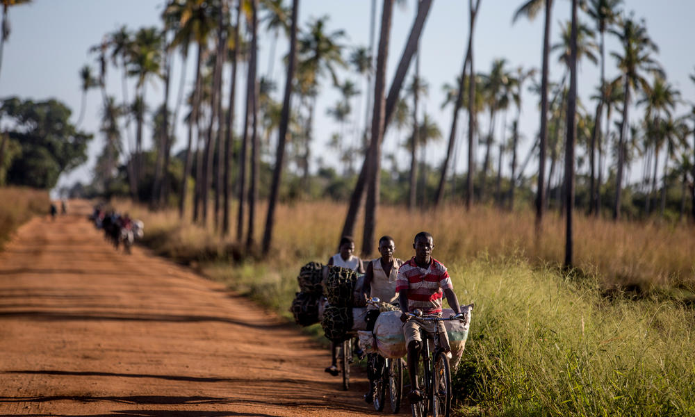 Mozambique is taking stock of its natural resources to better protect them for both wildlife and people.