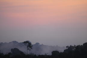 WWF is working in the Mai Ndombe region of the Democratic Republic of Congo to build community engagement in reducing emissions from deforestation and forest degradation, also known as REDD+. Our aim, in collaboration with communities and governments, is