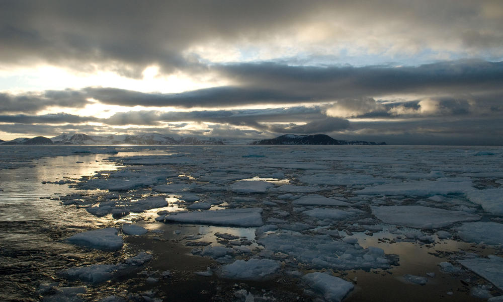 Floating sea ice - climate change | Photos | WWF