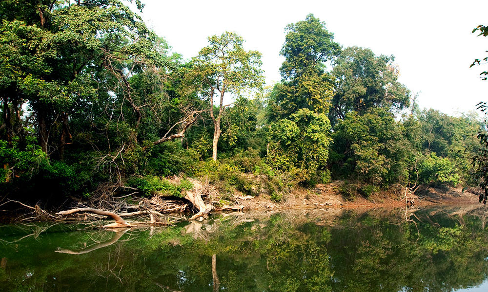 Forest and river, Nepal. Photos WWF