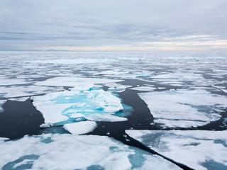 sea ice in the Arctic