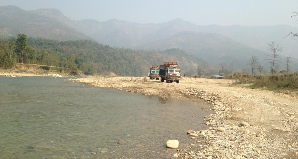 Rhino travel