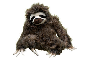 slow moves sloth toy
