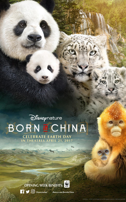 Disneynature's Born in China movie poster