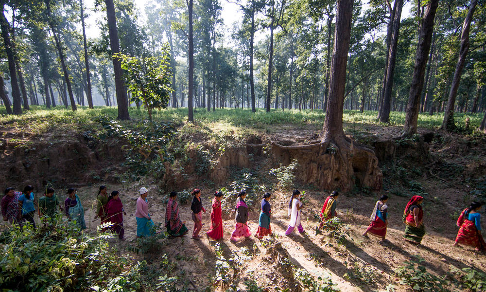 women walk in Nepal forest