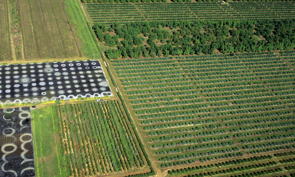 Farm land