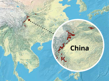 WWF CC Giant Panda Range Map ?1488210410