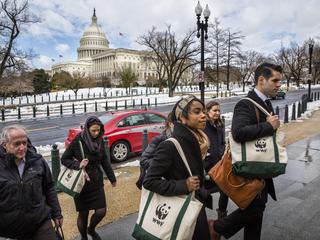 activists walk up steps to Congressional building