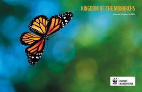 Kingdom of Monarchs Brochure Cover
