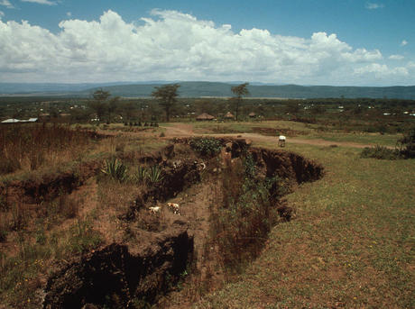 Image result for soil degradation images