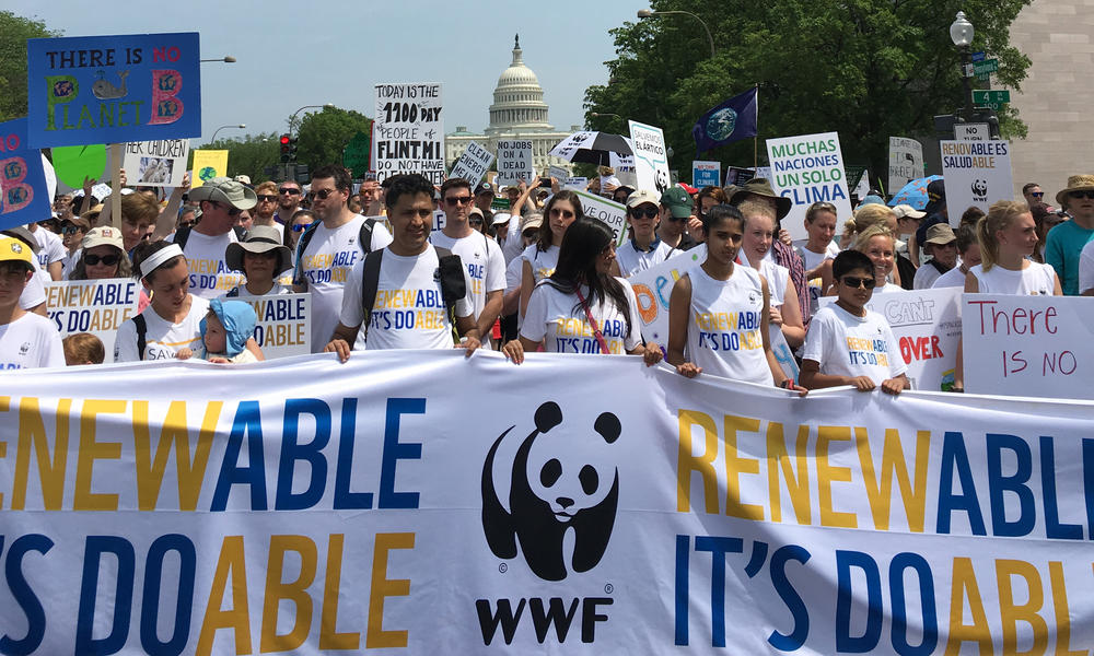 Why I Marched | Stories | WWF