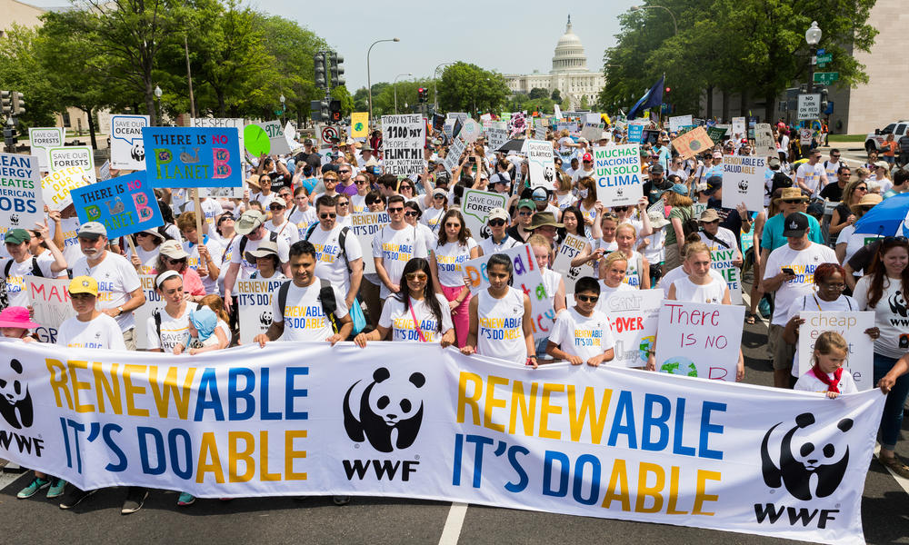 Climate march in Washington, DC