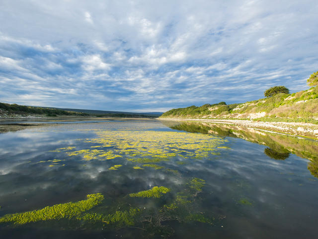 What is a wetland? And 8 other wetland facts | Stories | WWF