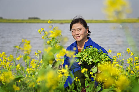 Liu Ailan, a carp farmer near Honghu, uses grasses and other local plants to feed her fish.