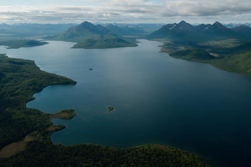 bay bristol alaska must why help terrestrial ecosystems productive marine yet future its most