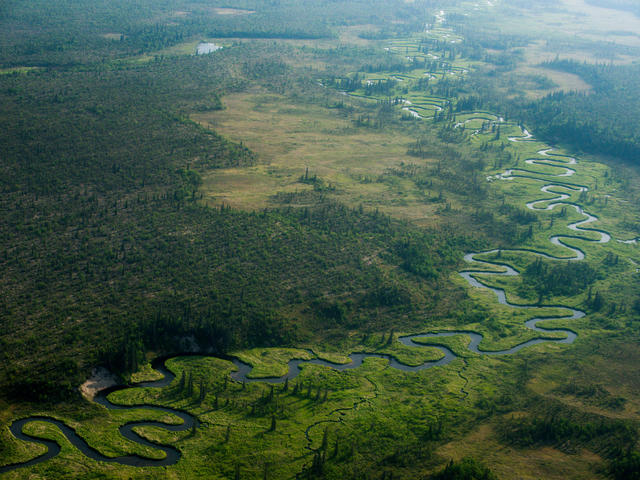 Free Flowing Rivers Pages Wwf