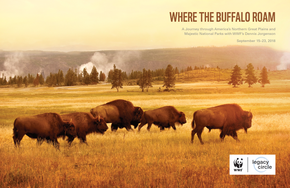 Where the Buffalo Roam Brochure Cover