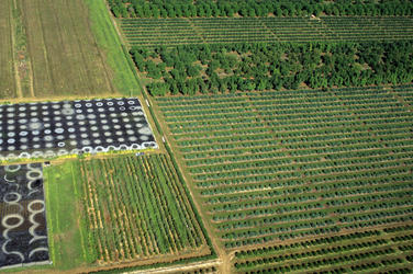 Aerial of land cultivated for farming, near the Everglades. Everglades, Florida, United States.