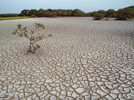 Water Scarcity 115