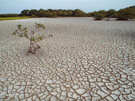 Essay on scarcity of water in india